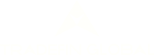 Tradefin Global logo